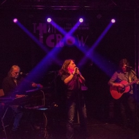 Thin Crow Band